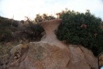photo thumbnail #7