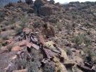 photo thumbnail #12