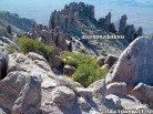photo thumbnail #12