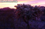 photo thumbnail #8