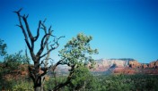 photo thumbnail #12
