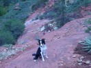 photo thumbnail #6