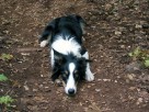 photo thumbnail #6