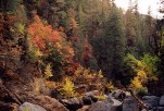 photo thumbnail #1