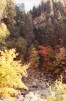 photo thumbnail #10