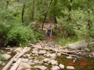 photo thumbnail #6