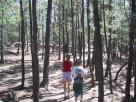 photo thumbnail #3