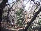 photo thumbnail #5