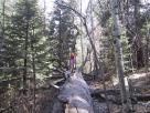 photo thumbnail #8