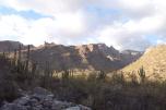 photo thumbnail #1