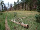photo thumbnail #6