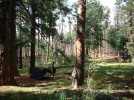 photo thumbnail #11