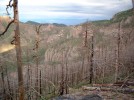 photo thumbnail #14
