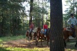 photo thumbnail #5