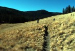 photo thumbnail #3