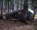 photo thumbnail #7