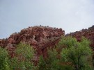 photo thumbnail #1