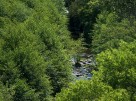 photo thumbnail #8