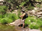 photo thumbnail #5