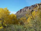 photo thumbnail #5