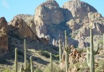 photo thumbnail #7