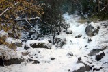 photo thumbnail #5