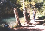 photo thumbnail #2