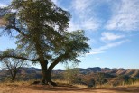 photo thumbnail #1
