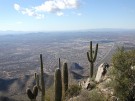 photo thumbnail #1