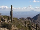 photo thumbnail #2