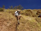 photo thumbnail #10
