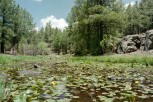 photo thumbnail #2
