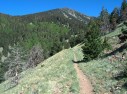 photo thumbnail #8