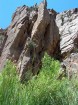 photo thumbnail #14