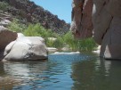 photo thumbnail #15