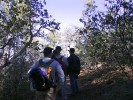 photo thumbnail #2