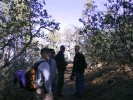 photo thumbnail #3