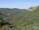 photo thumbnail #8