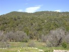 photo thumbnail #13