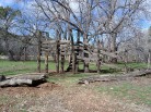 photo thumbnail #12