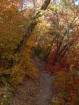 photo thumbnail #14