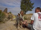 photo thumbnail #8