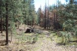 photo thumbnail #1