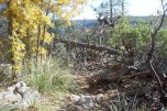 photo thumbnail #4