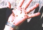 photo thumbnail #1