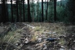 photo thumbnail #7