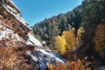 photo thumbnail #10