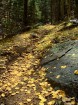 photo thumbnail #13