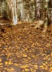 photo thumbnail #15