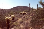 photo thumbnail #6